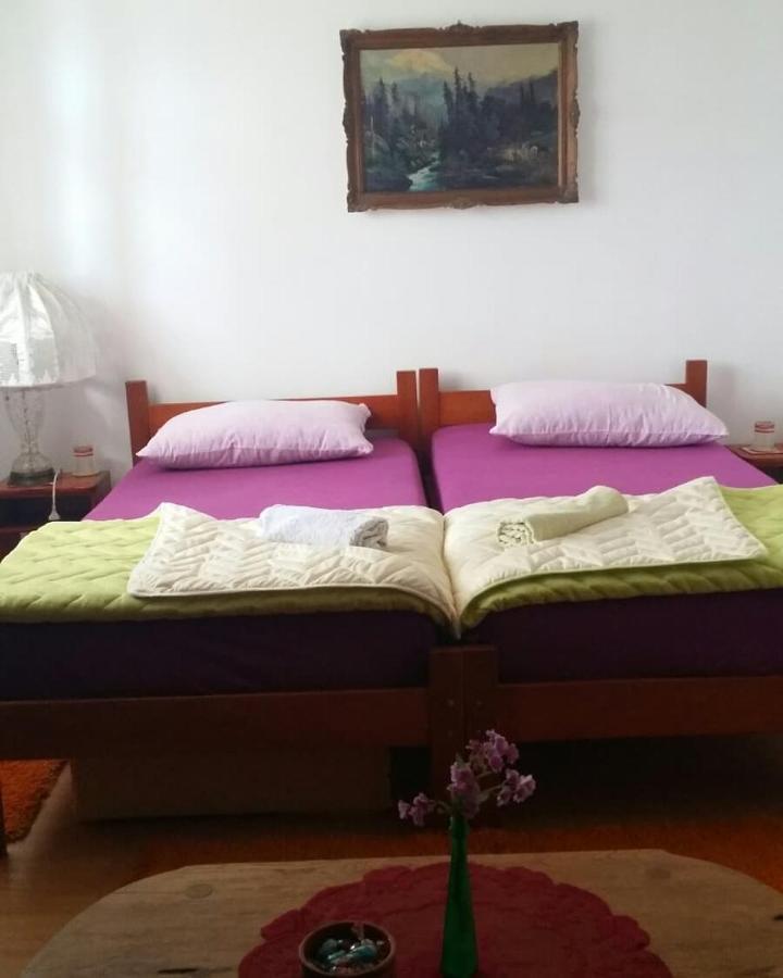 B&B Jonovic Donji Milanovac Exterior photo