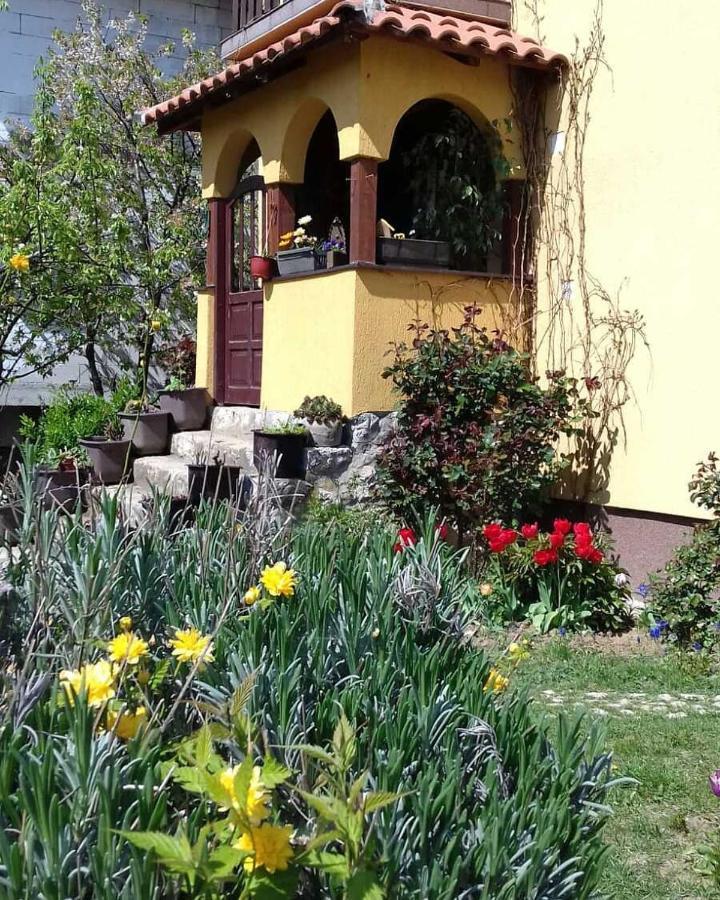 B&B Jonovic Donji Milanovac Exterior photo