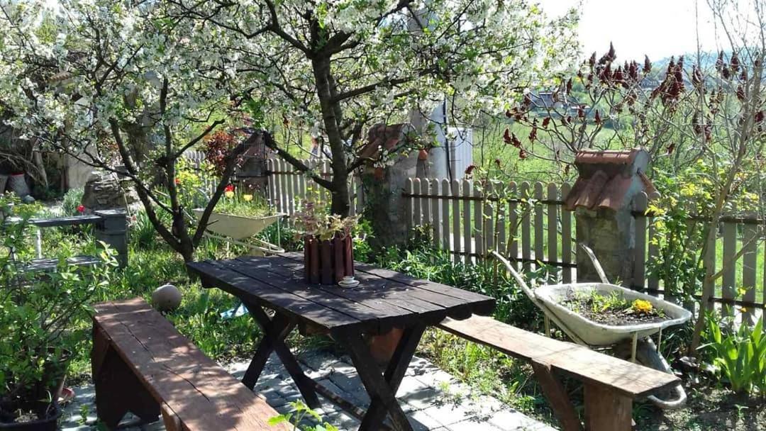 B&B Jonovic Donji Milanovac Exterior photo