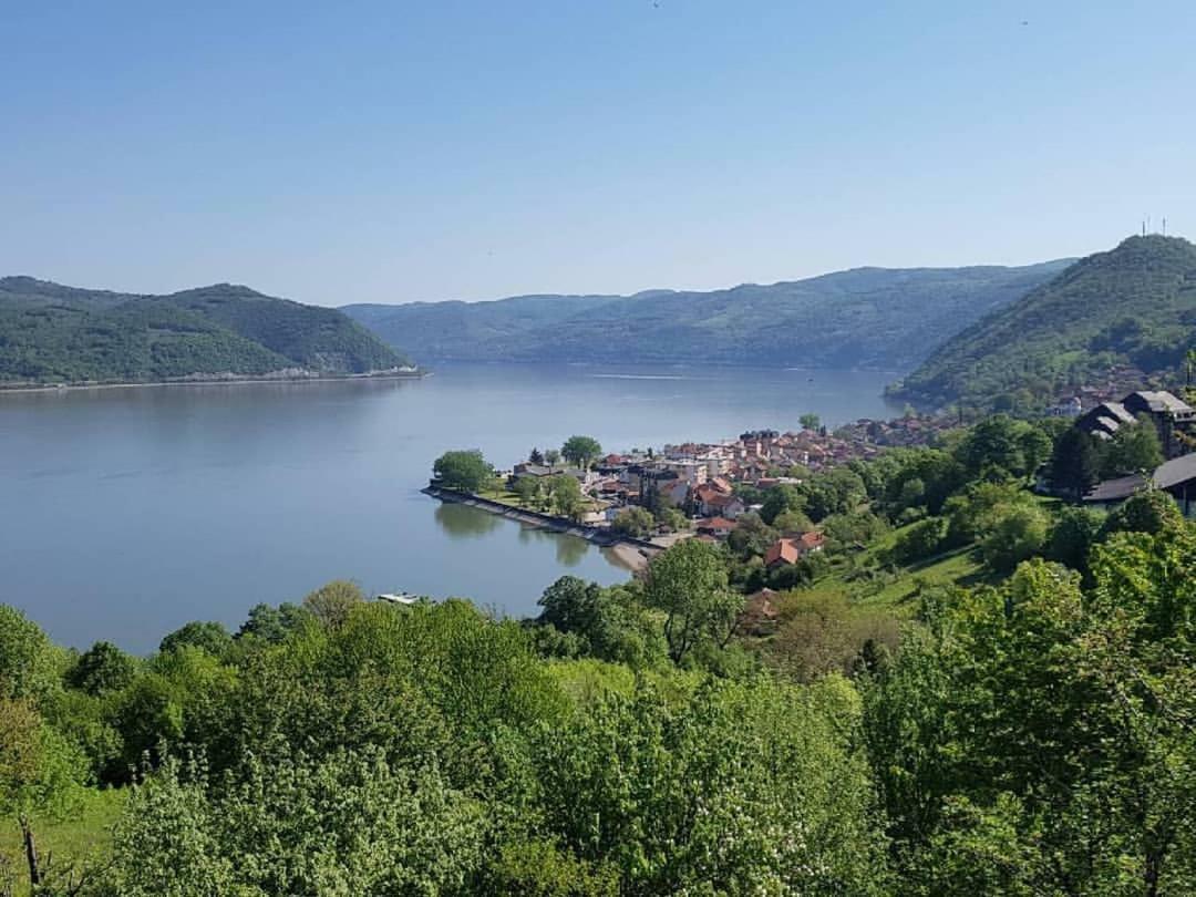 B&B Jonovic Donji Milanovac Exterior photo