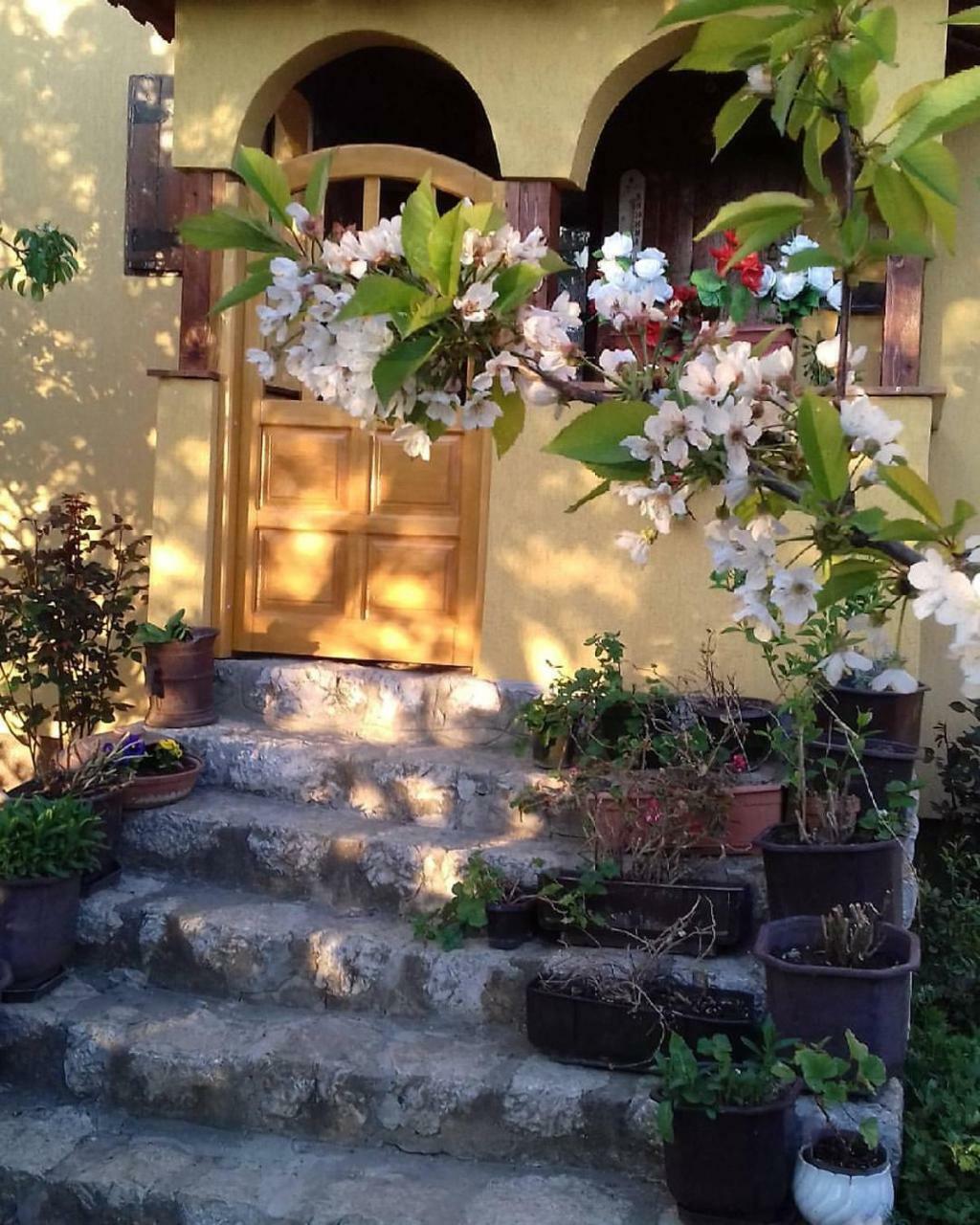 B&B Jonovic Donji Milanovac Exterior photo