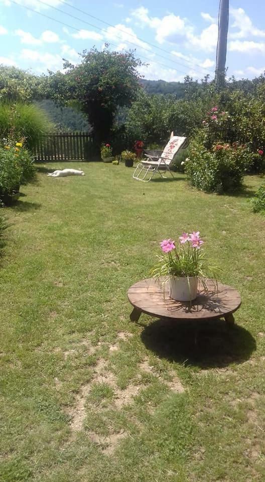 B&B Jonovic Donji Milanovac Exterior photo