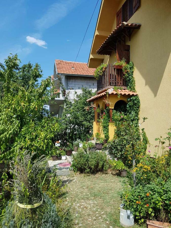 B&B Jonovic Donji Milanovac Exterior photo
