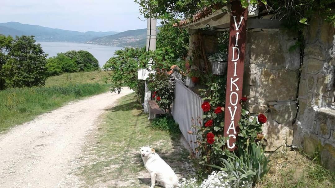 B&B Jonovic Donji Milanovac Exterior photo